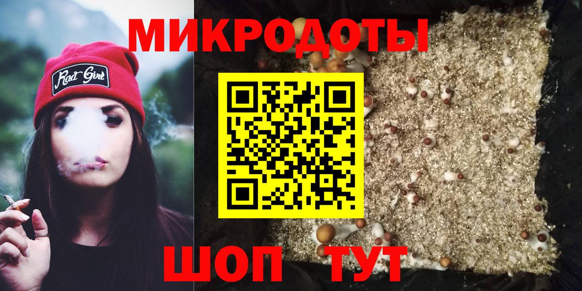 Псилоцибиновые грибы Cubensis Карачаевск