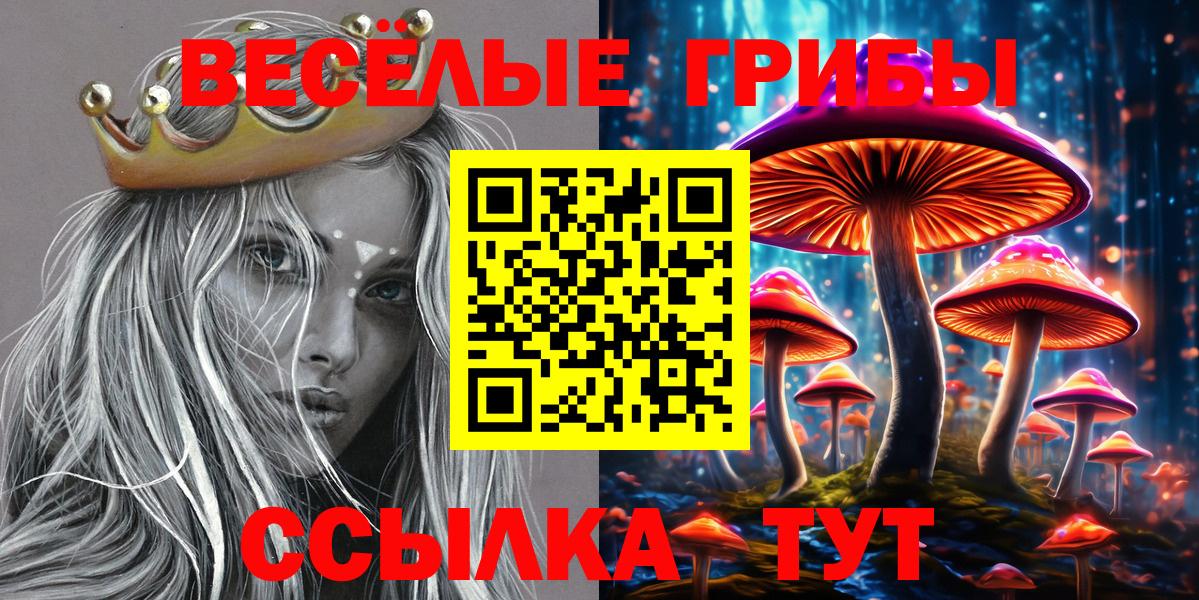 Псилоцибиновые грибы Cubensis  Псилоцибиновые грибы прущие грибы  что такое наркотик  Вход с VPN  Карачаевск 