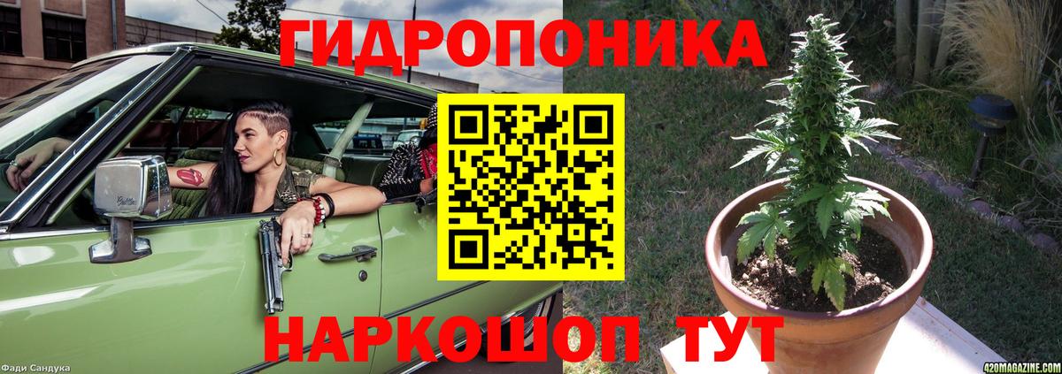 Шишки марихуана Ganja  Конопля сатива  Каннабис AK-47  Карачаевск  Вход с VPN 